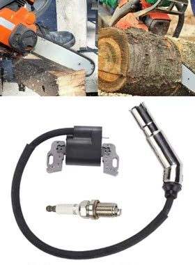 2022 New 595304 Ignition Coil Magneto Armature for Brigg and