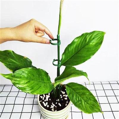 1 Set Convenient Butterflies Orchid Potted Plant Support