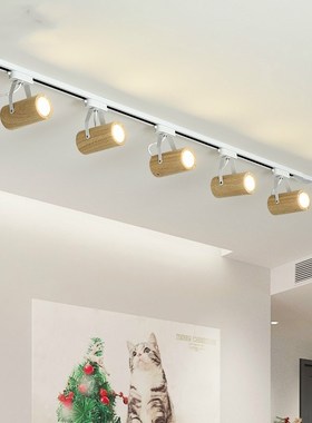 Nordic track light spotlight LED ladies  s consumer and comm