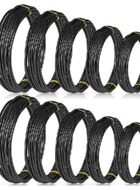 10 Rolls Bonsai Wires Anodized Aluminum Bonsai Training