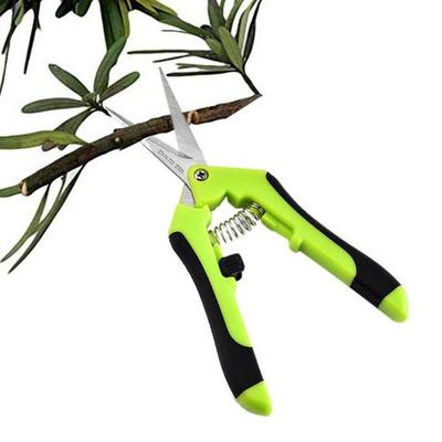 Garden Stainless Pruning Shears Fruit Picking Scissors House