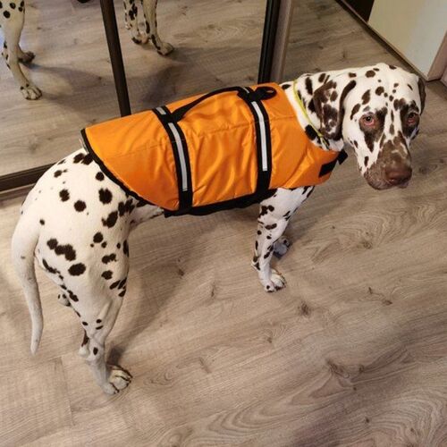 Pet Dog Life Jacket Bones Patterns Safety Clothes Life Vest