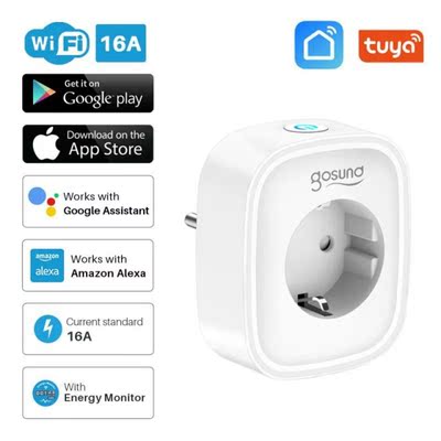 Gosund Tuya WiFi EU Smart Plug Socket 100-240V Smart Life  R
