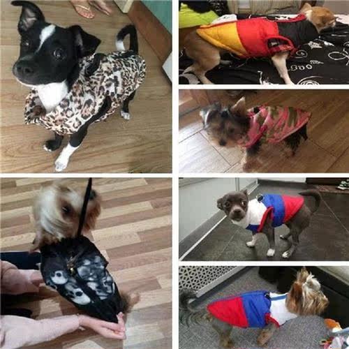 Warm Dog Clothes For Small Dog Windproof Winter Pet Dog