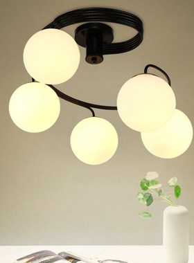 Modern LED Ceiling light Large Ceiling lamp  Living room Bed