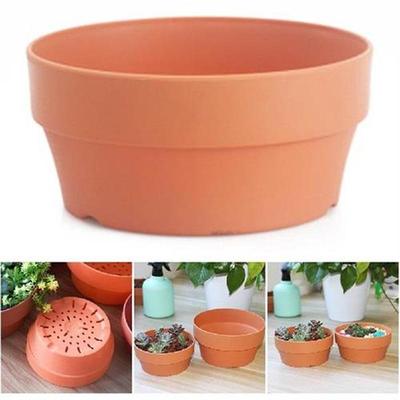 Succulent Flower Pot Mini Potted Plants Planters Office
