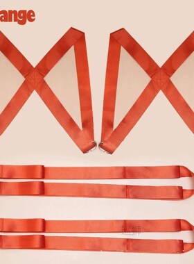 250kg Forearm Furniture Mover Strap Forklift Lifting Straps