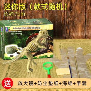 Dinosaur fossil excavation dug treasures hand-made diy toys