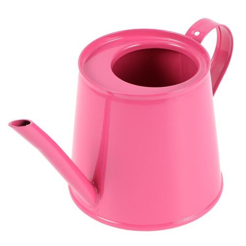 Water Can Garden Mini Iron Watering Can Household Watering C