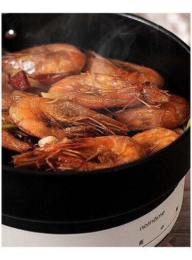 Travel Multi-function Electric Cooker 2 In 1 Mini Cooking Po