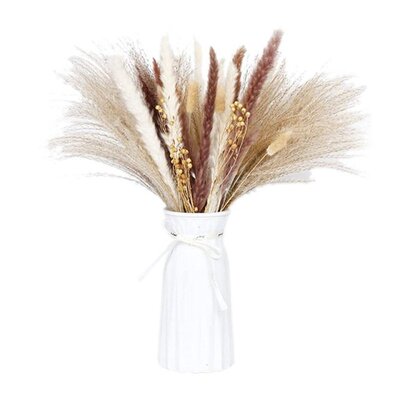 Pappas Grass Plums,Fluffy Pappas Grass Plant Branches,Tusk A
