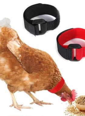 6 Pcs Adjustable Chicken Collars Durable Anti-Hook Noise Fre