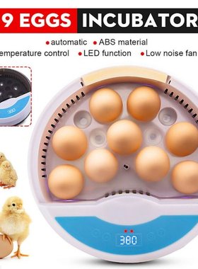 Egg Incubator 9 Eggs Capacity Incubator Brood Machine C