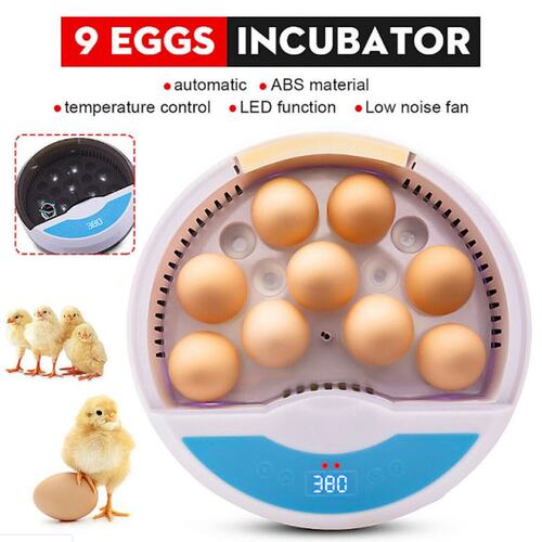 Egg Incubator 9 Eggs Capacity Incubator Brood Machine C