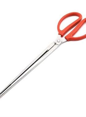 Eel Clip Paper Loach Iron Pliers Comfortable Plastic Handle