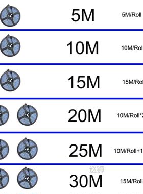 15M 30M 5050 Lights Lighting RGB 44Key Control LED PLUG US/E