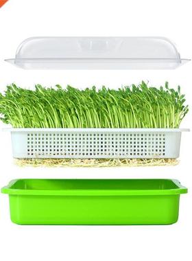 Seed Sprouter Tray BPA Free PP Soil-Free Wheatgrass Grower L