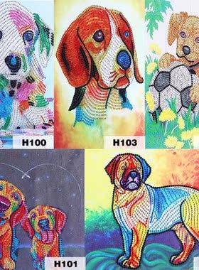 5D DIY Diamond Painting Crafts Delicate Various Specificatio