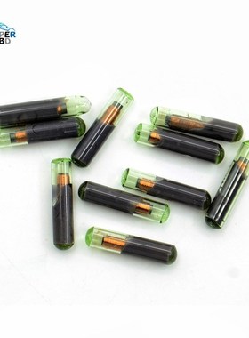 V-W System ID48 Glass Chip for V-W ID 48 Transponder Chip Au