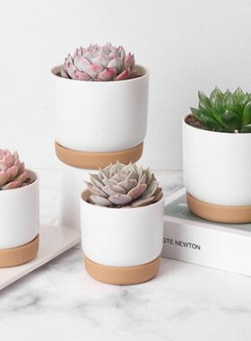 Plastic Imitation Ceramic Succulent Plant Pots Flower Pot-La