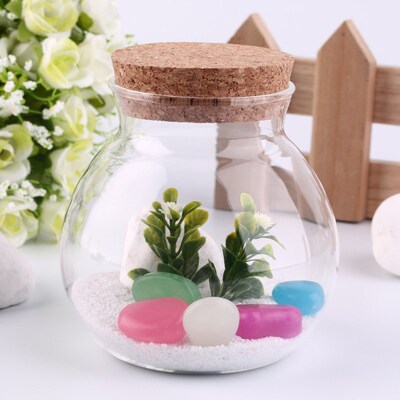 newNew Arrival Cute Design Tea Coffee Sugar Glass Canisters