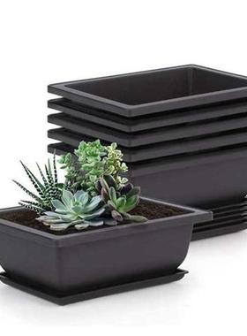 6 Packs Bonsai Training Pots with Tray Plastic Bonsai Plants