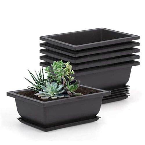 6 Packs Bonsai Training Pots with Tray Plastic Bonsai Plants