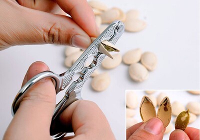 Melon Cracker Kitchen Clamp Walnut Pine Nutcracker Seed Open