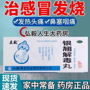 立效 银翘解毒丸 9g*10丸 华康 辛凉解表风热感冒发热头痛