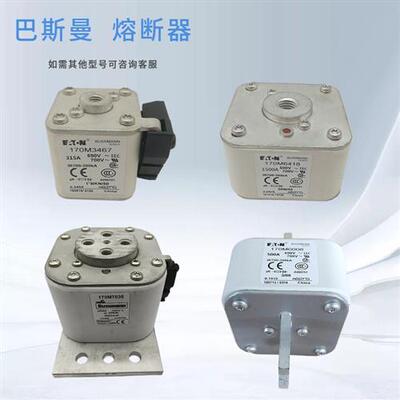 议价巴斯曼熔断器170M8622 170M8623 170M8624 170M8625现货型号