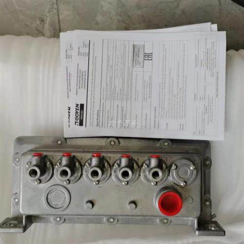 议价现货GOYEN RCAC25DD4002电磁阀RCA40FHX/1195电磁阀RCAC25FS4