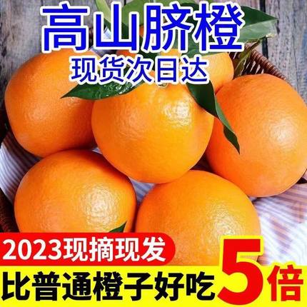 重庆奉节脐橙纽荷尔福本孕妇新鲜带叶现摘水果橙子5斤包邮