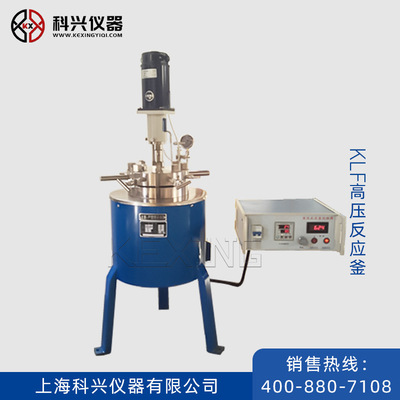 KLF不可升降型高压反应釜/KLF-0.25高压反应釜/厂家专供