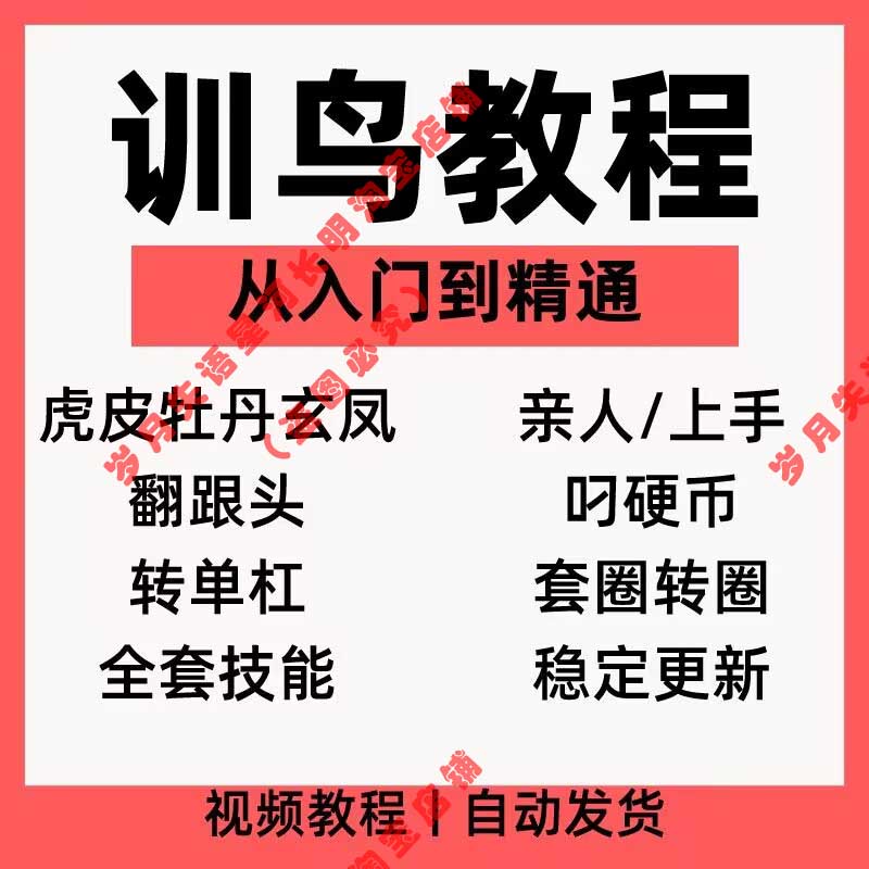 训鸟教程鹦鹉训练教程杜丹玄凤鹦鹉训练全套上手训练鹦鹉说话素材