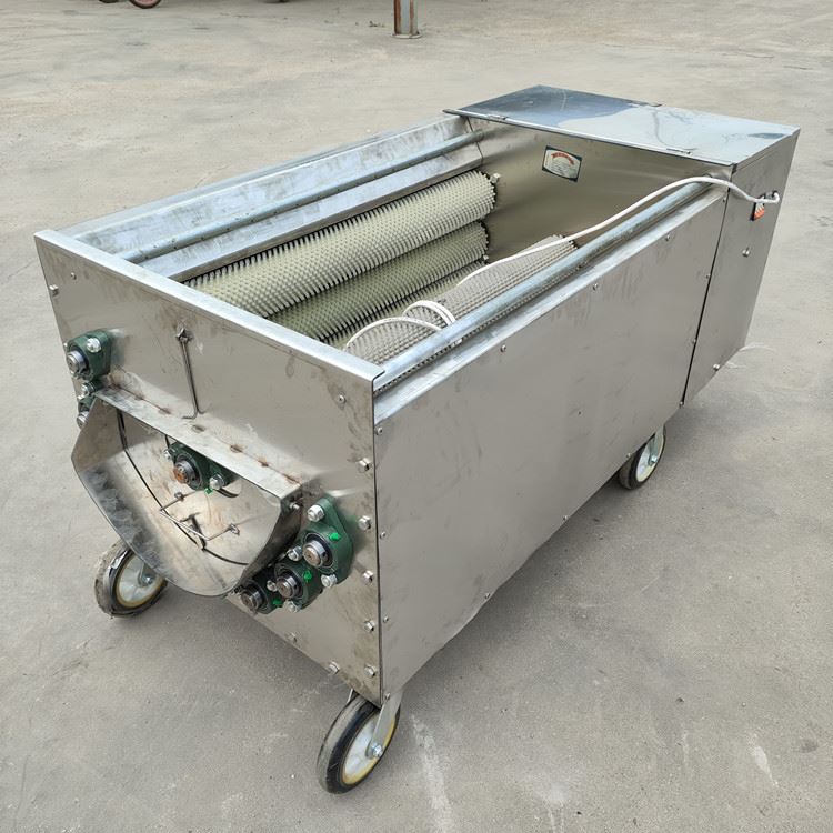 核桃剥皮清洗机 青核桃去皮清洗一体机 1000型三相电鲜桃脱皮机