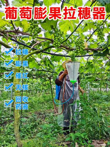 葡萄膨大神器拉穗膨果催红器农户果园葡萄雾化保果浸果器喷药工具