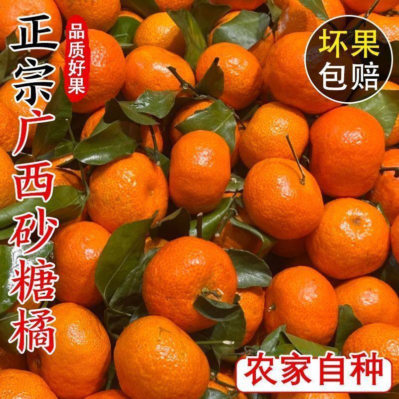广西正宗新鲜砂糖橘整箱5斤小蜜桔子金秋沙糖桔应季水果