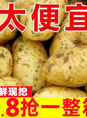 山东黄心土豆黄皮5/10斤蔬菜软糯香甜洋芋马铃薯现挖农家蔬菜