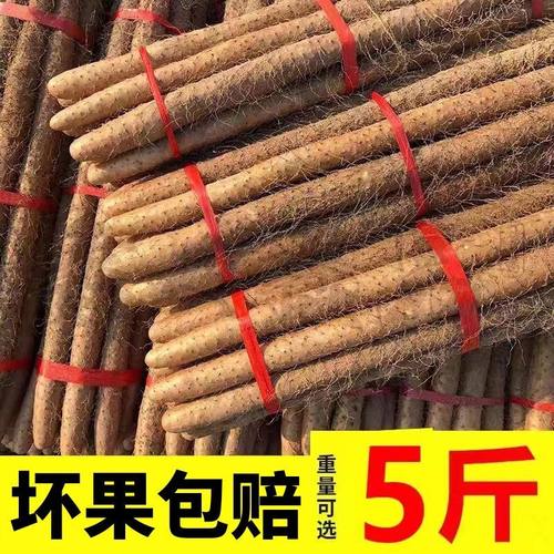 正宗铁棍山药河南焦作温县垆土新鲜铁杆淮山药怀山药土特产5斤装