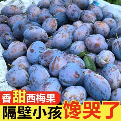 正宗新疆甜西梅5斤当季新鲜水果现摘法兰西脆甜西梅李子大果包邮3