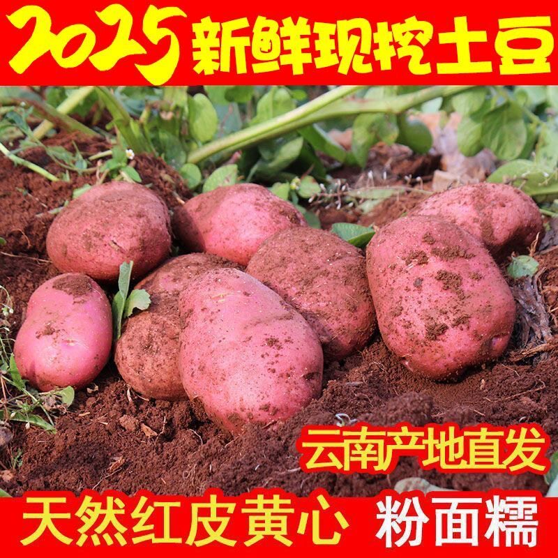 云南红皮土豆9斤新鲜蔬菜小土豆马铃薯洋芋黄心土豆整箱包邮