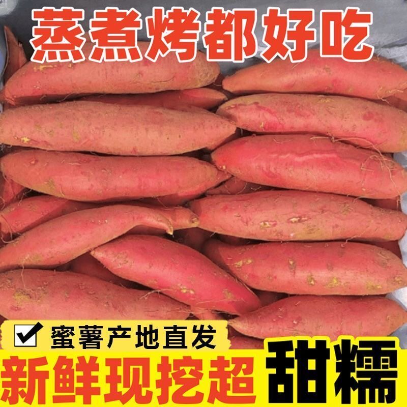 板栗红薯蜜薯很甜新鲜地瓜沙地番薯粉糯包邮香薯自种山芋