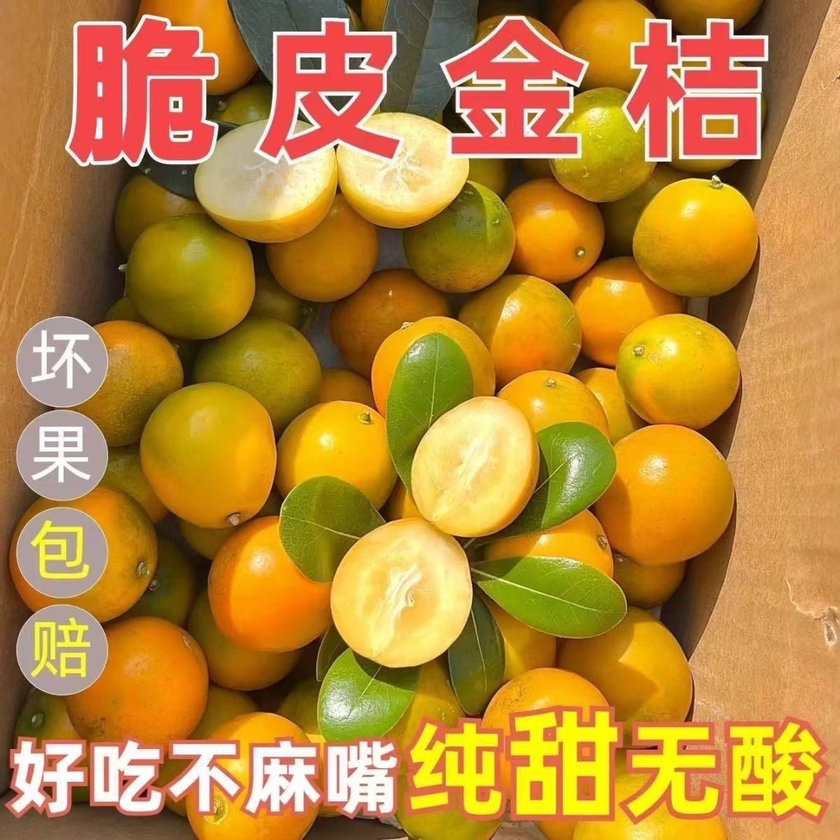 广西脆皮金桔现摘新鲜水果纯甜不酸正宗广西小金桔5斤装包邮