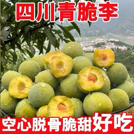 新鲜四川脱骨青脆李子孕妇酸甜水果整箱红巫山当季江安空心李