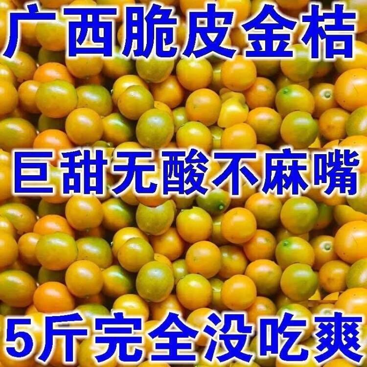 广西桂林脆皮小金桔5斤新鲜纯甜水果脆甜冰糖金桔应当季整箱包邮