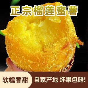 正宗真榴莲蜜薯9斤黄心红薯新鲜玛莎莉黄金番薯现挖地瓜蔬菜包邮