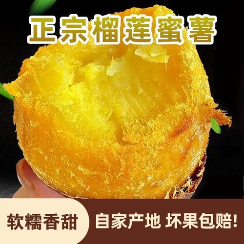 正宗真榴莲蜜薯9斤黄心红薯新鲜玛莎莉黄金番薯现挖地瓜蔬菜包邮