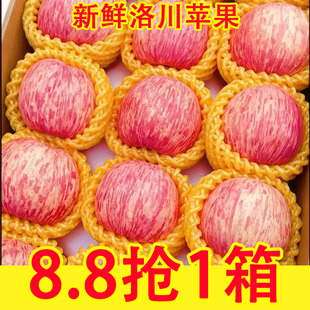陕西洛川苹果水果新鲜9斤当季 红富士一级脆甜冰糖心整箱