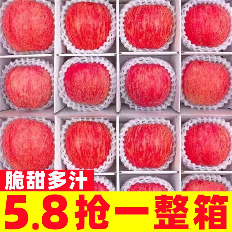 山东栖霞红富士苹果5新鲜水果脆甜丑苹果当季现摘10斤苹果脆甜