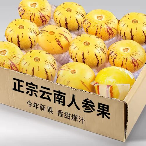 云南石林人参果5斤水果七彩黄肉圆果新鲜人生水果人叁果树上熟